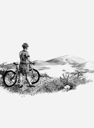 8d6de689fc474128ad363339e4216e54