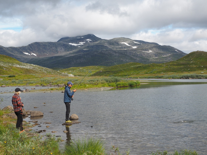Fiske Børgefjell