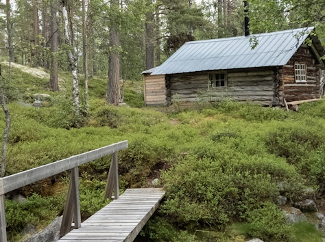 Kløftkoia - åpen bu i Rendalen