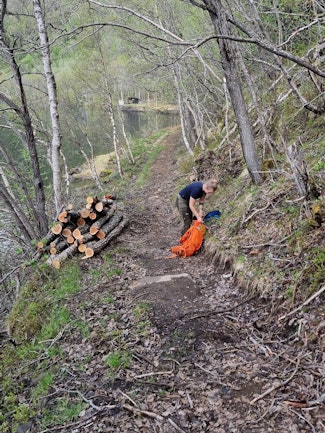Ronja Aronsen Grumstad i gang med stirydding på Hellarmoen – en populær tursti for innbyggere i Sulitjelma.