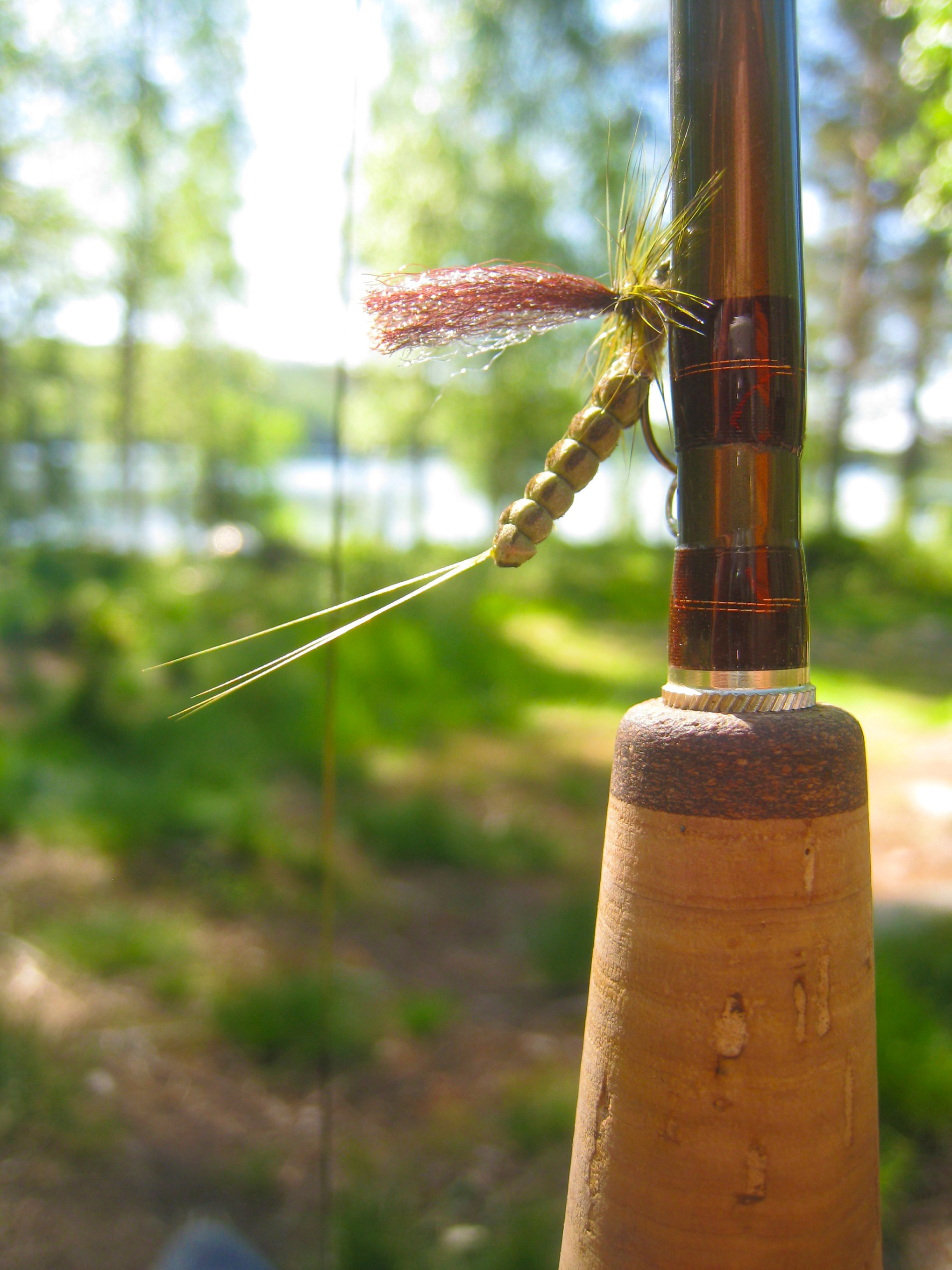 Fluefiskestang og vulgata ved Høgsjøen