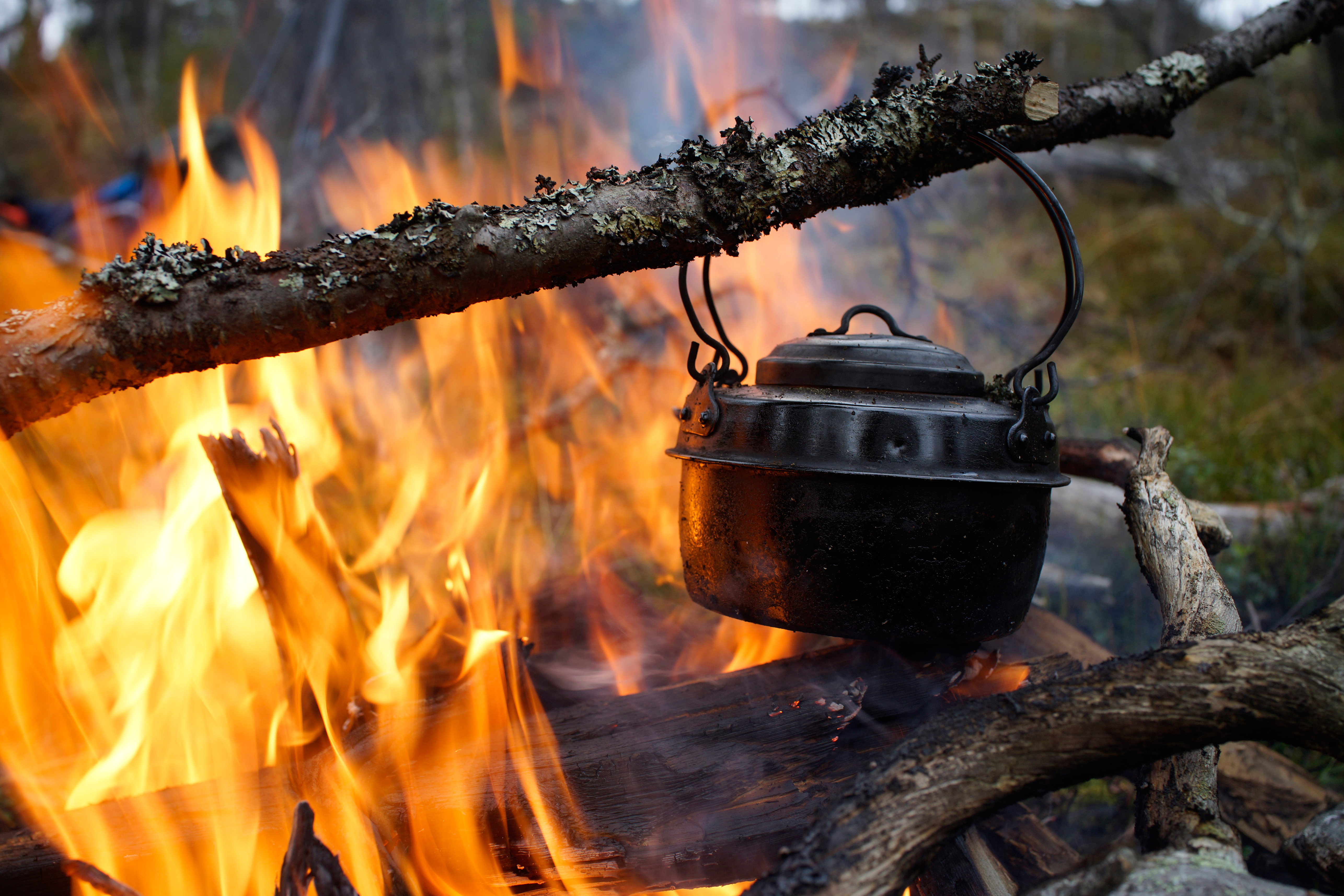 Baalkaffe Geir wagnild