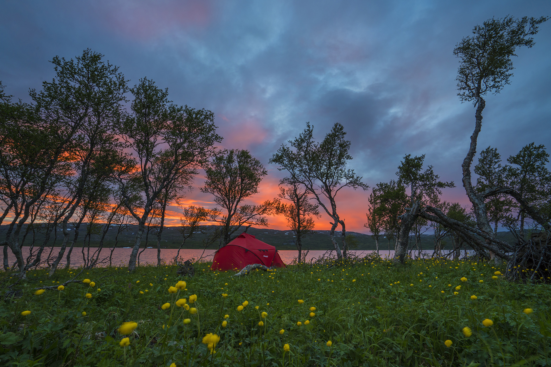 Bjørkvatnet i Limingen, Røyrvik - med telt på fisketur