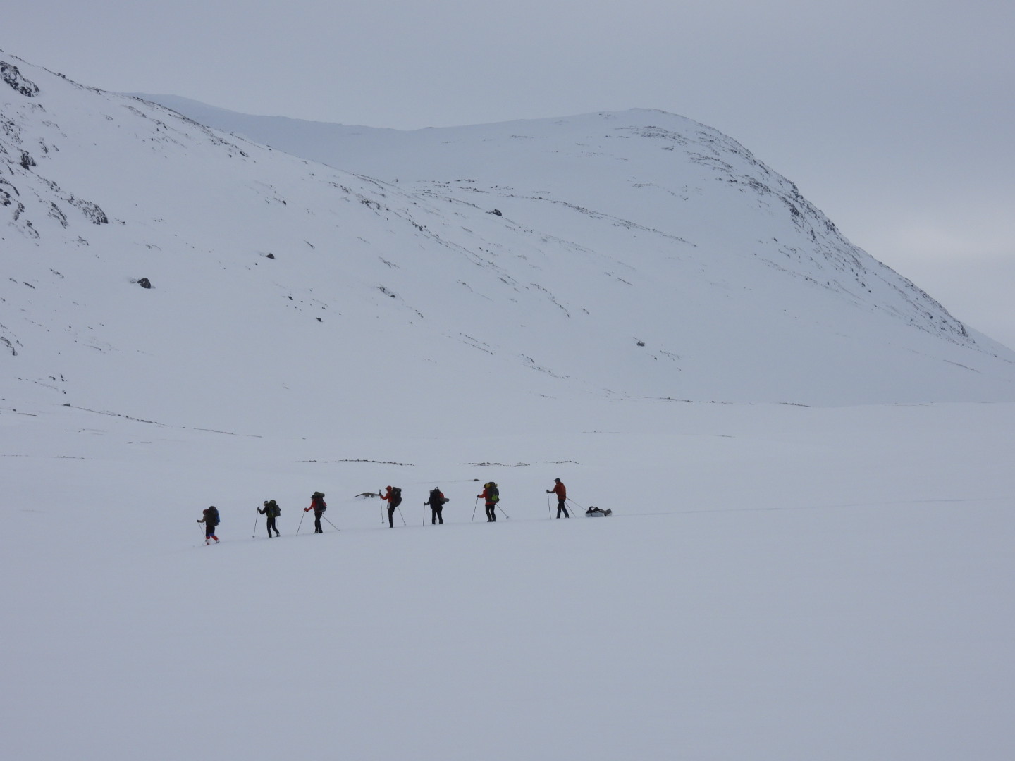 Turfølge på tur sørover gjennom Chainavagge i Narvikfjella