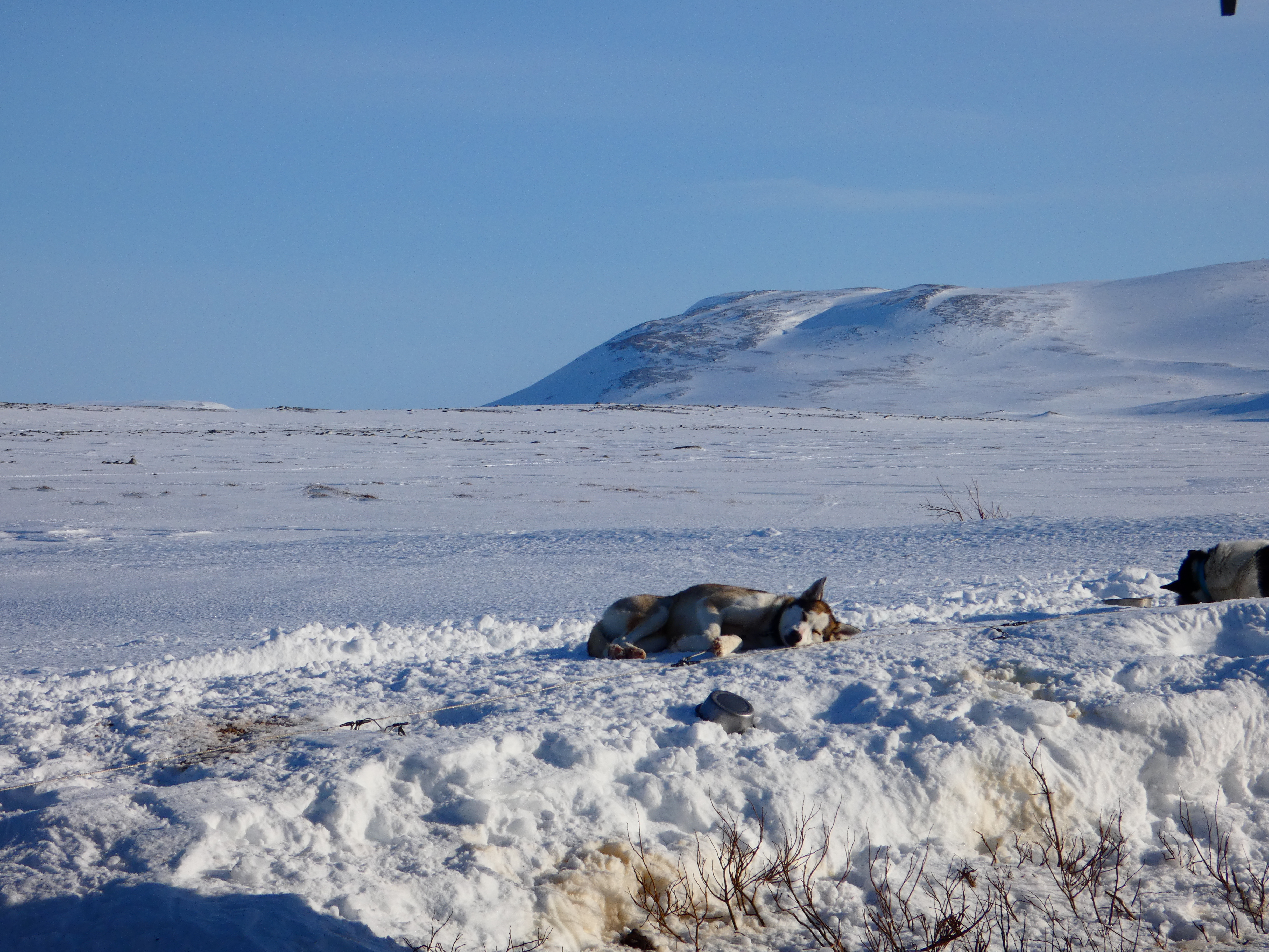 Sola varmer på hviledagen ved Stor-Rostahytta i Dividalen