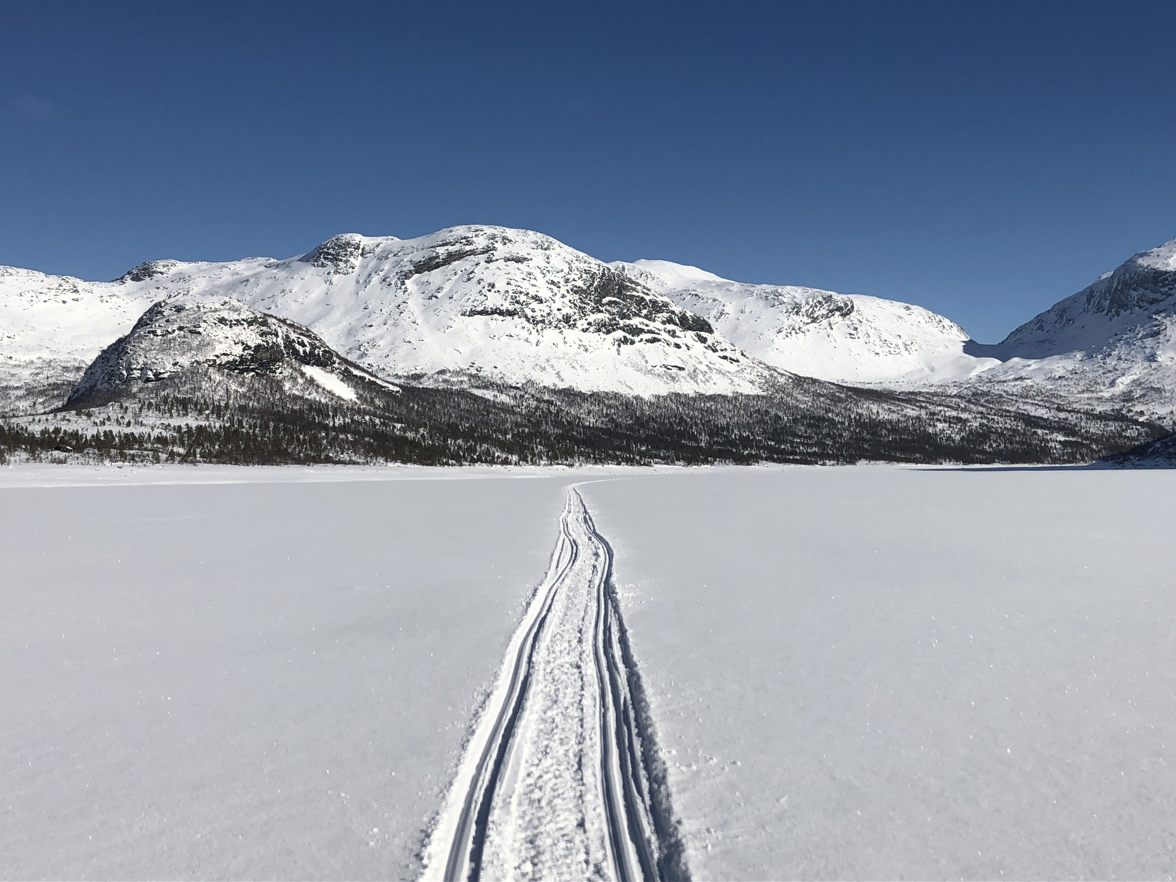 Nydelige forhold Innover Heggmovatnet i Bodø