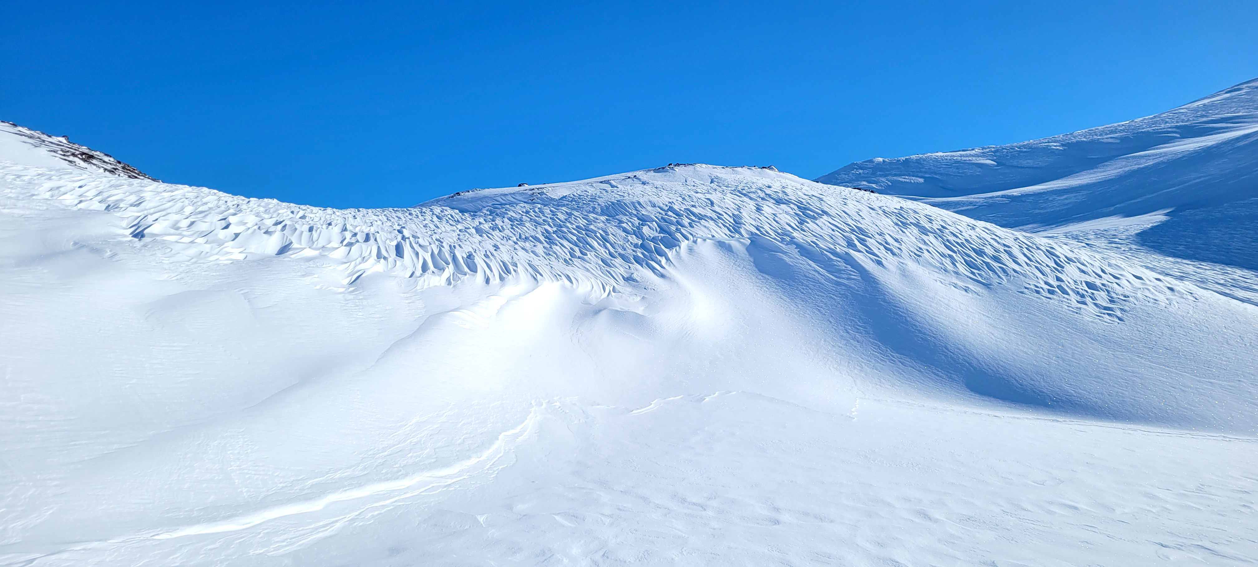 Hardt og vindpåvirket i Ranafjellene