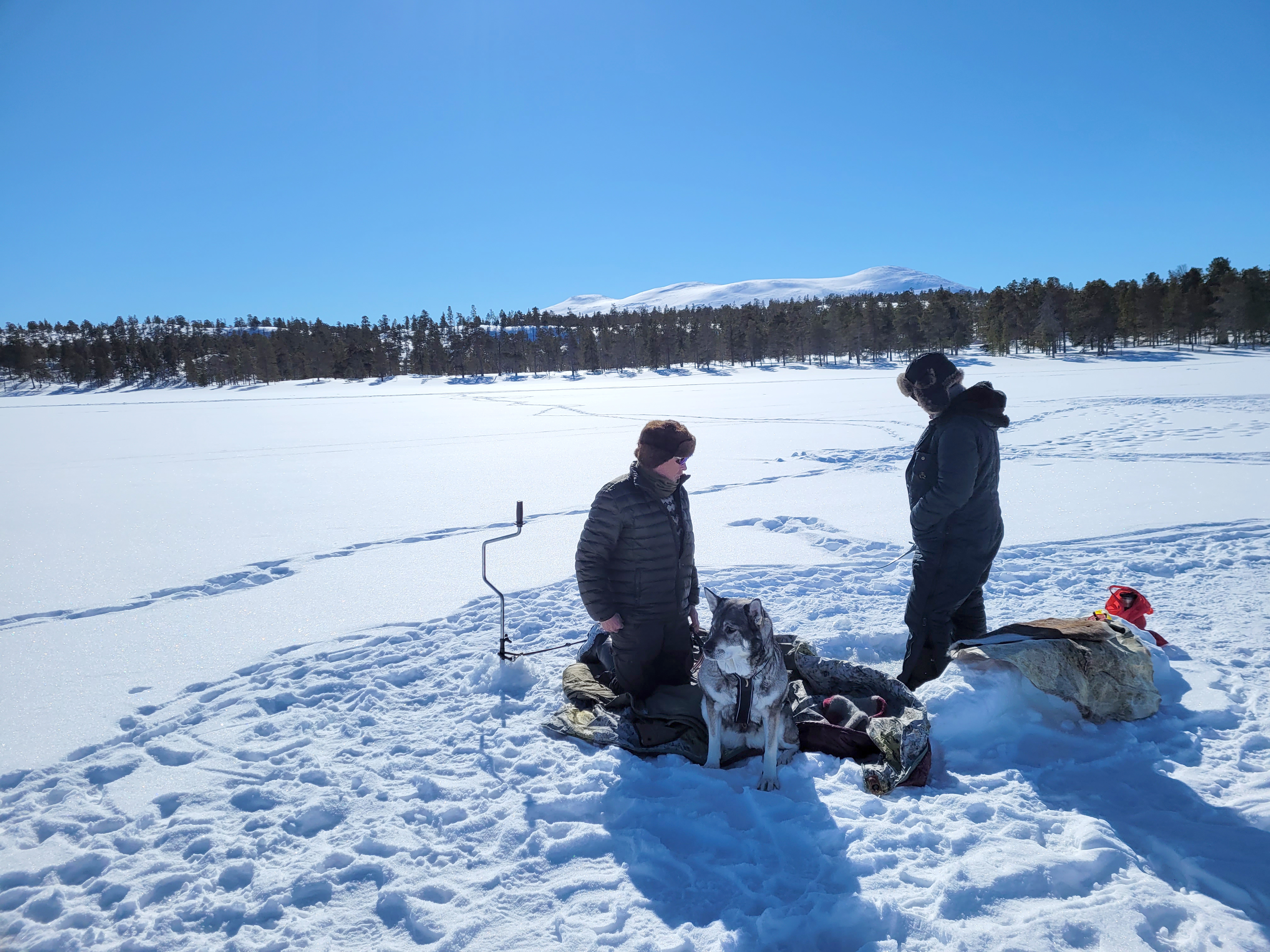 Isfisking på Roasten i Femundsmarka