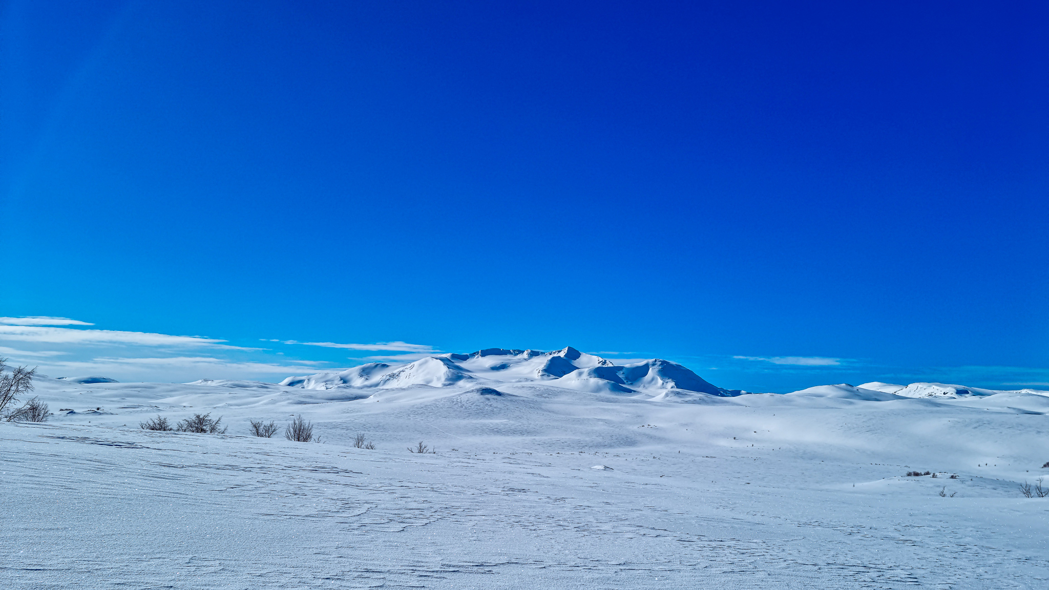 Kvigtinden i Børgefjell