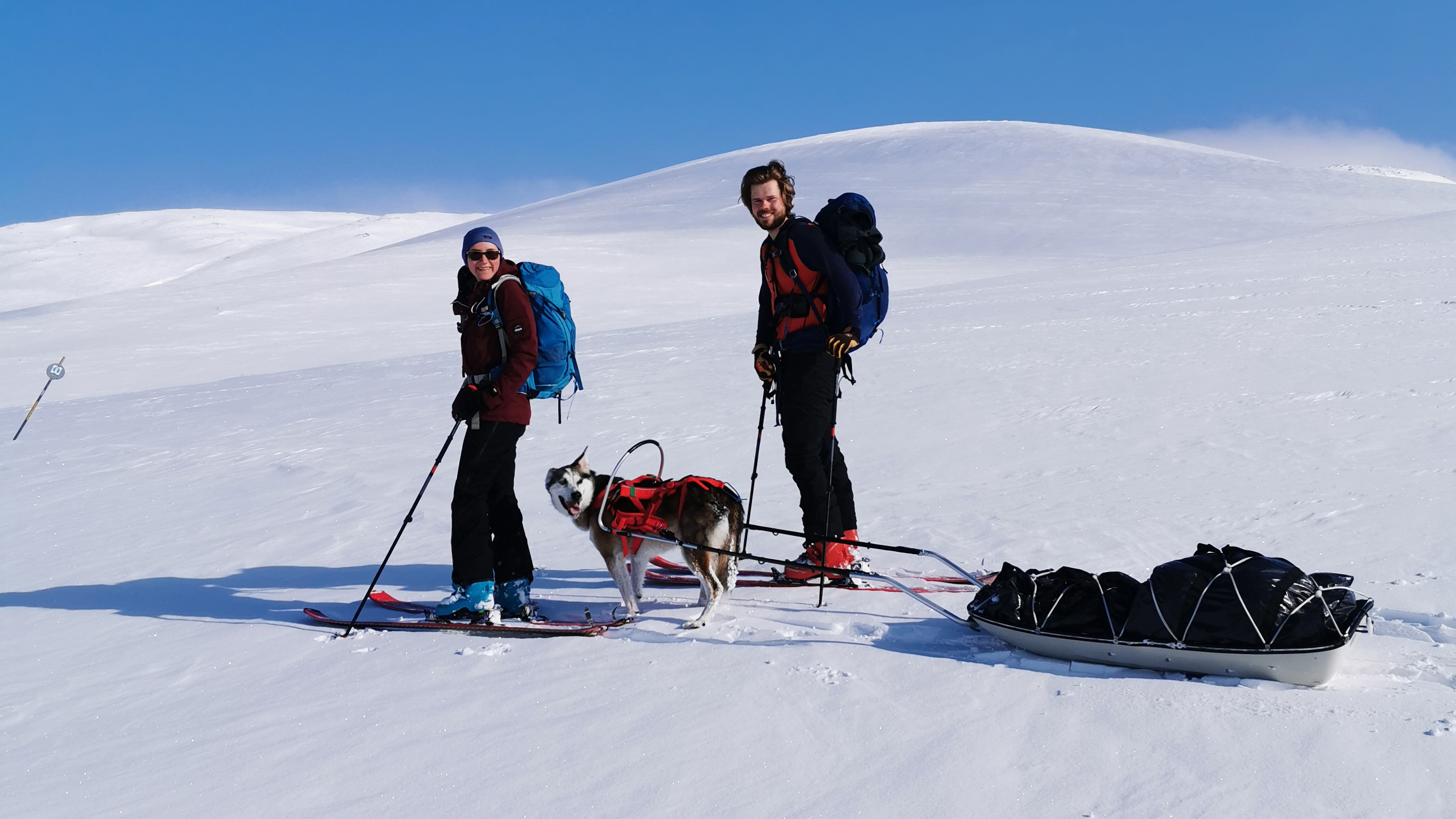 Nydelig vær og skiføre denne aprildagen i Sealkavaggei Narvik fjellene