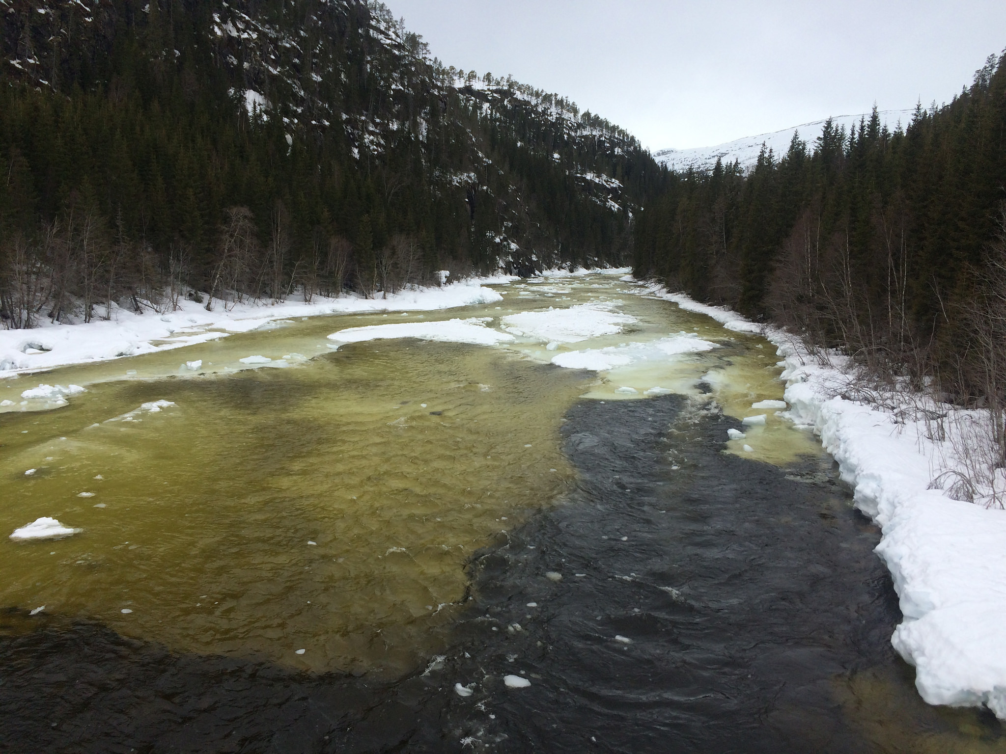 Flom i Eiteråga i Vefsn Grane