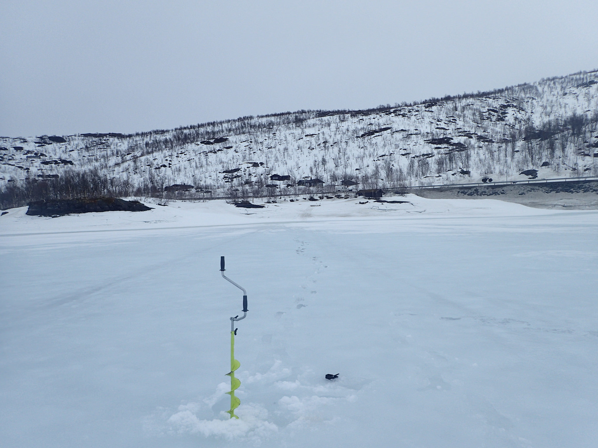 Støvelføre på Uman i Rana