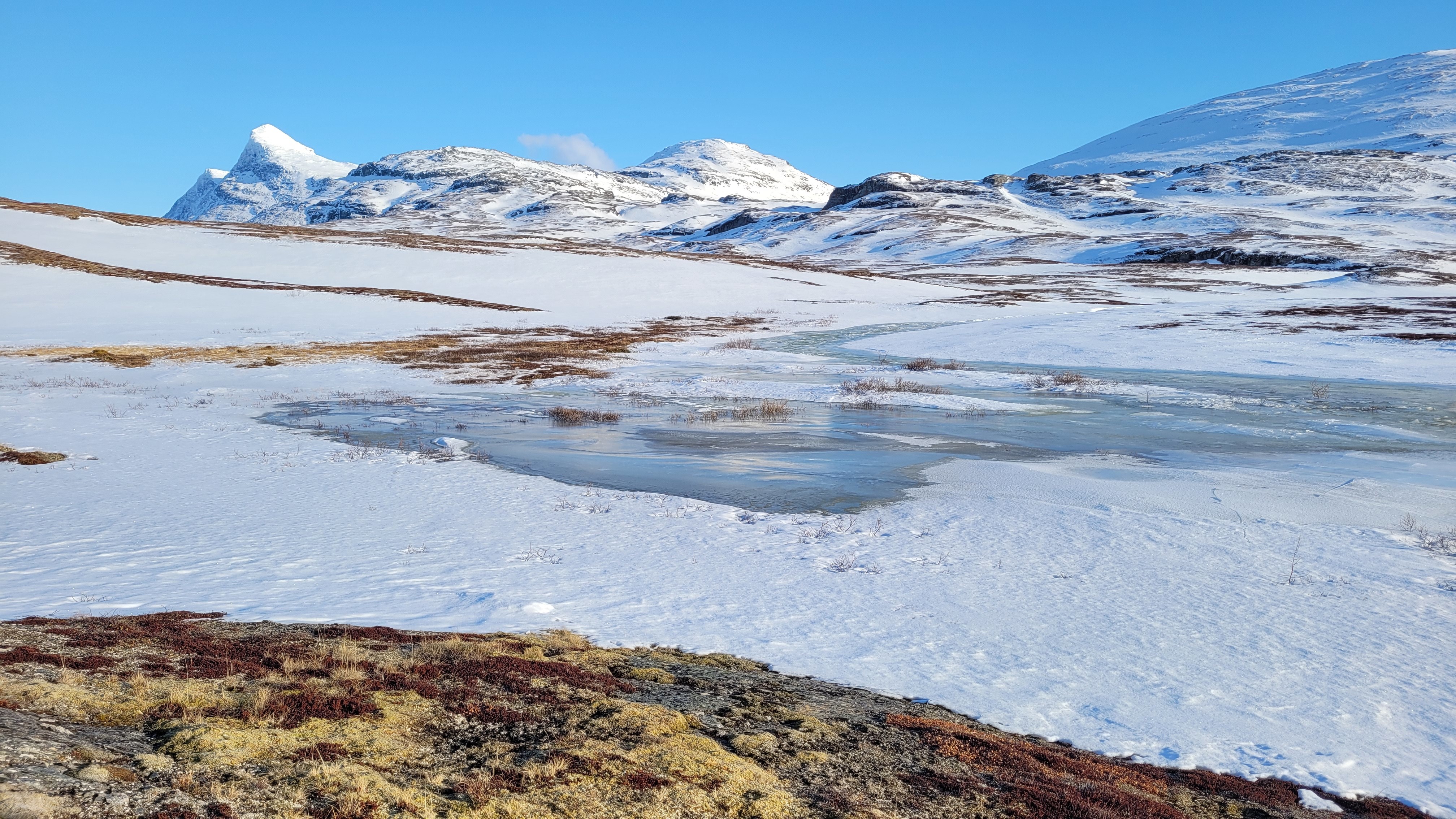 Mye barmark øst for Balvatn i Sulitjelma