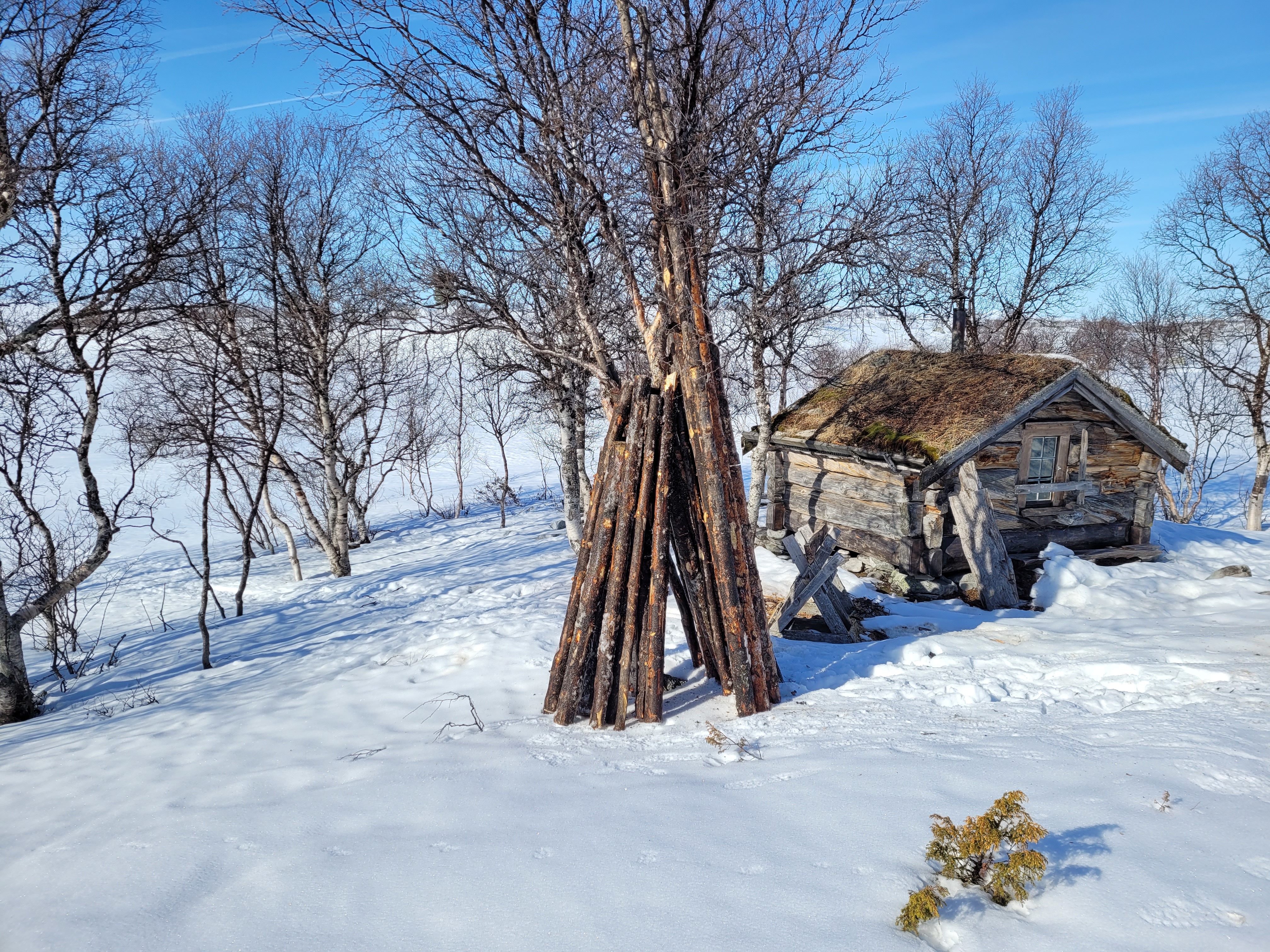 Fautbua -  åpen bu i Femundsmarka