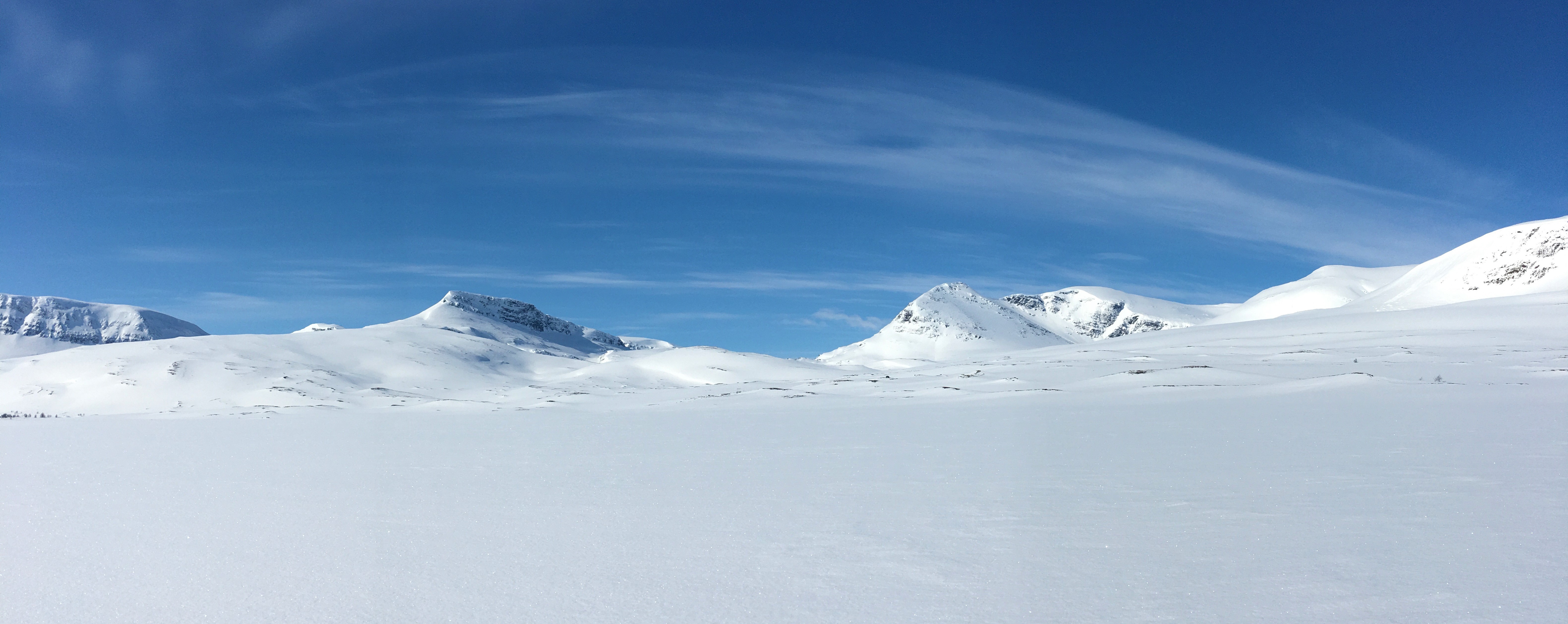Mot Mattoalgi og Gasskkasvaggi