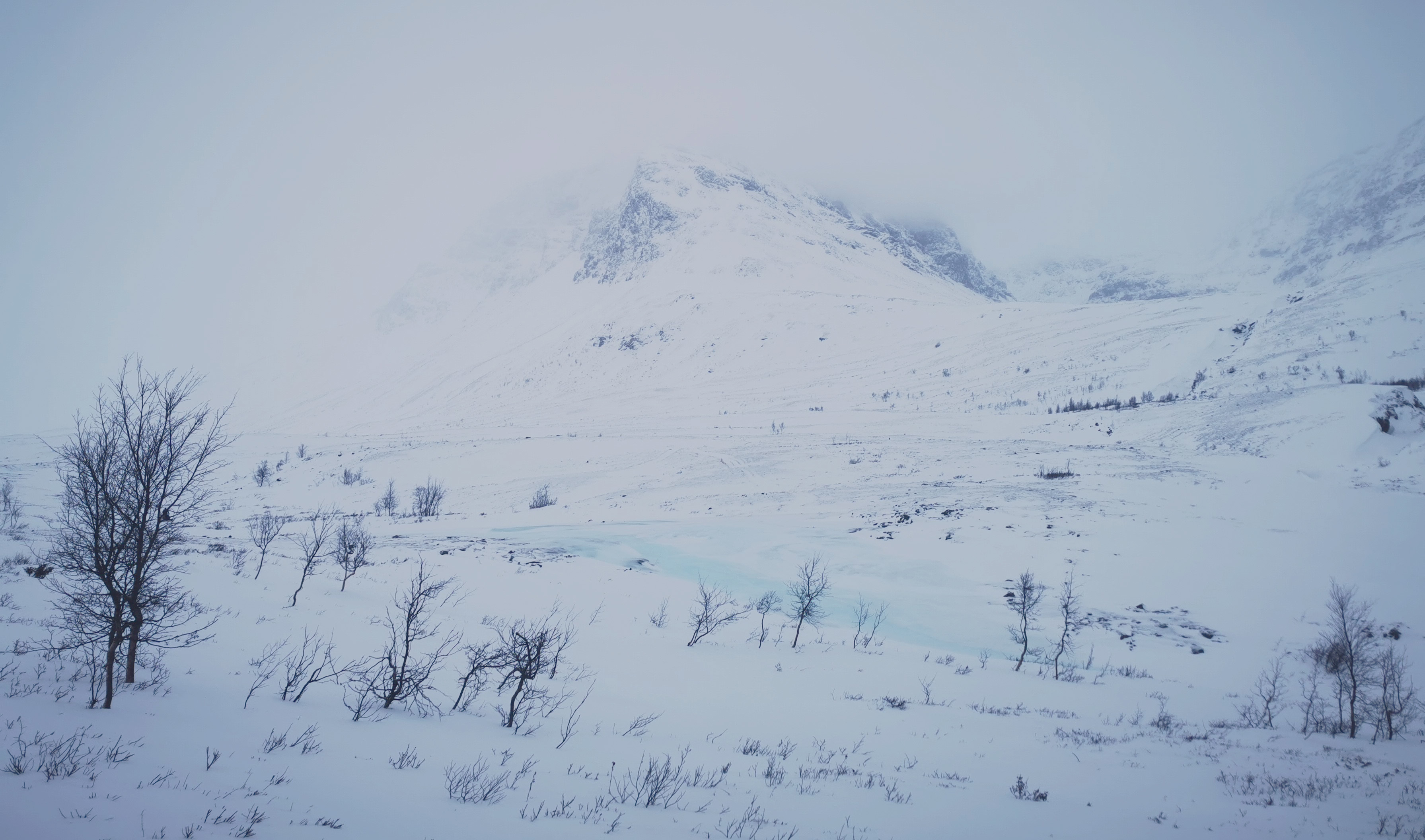 Høgskardet i Troms - issvull og snøforhold