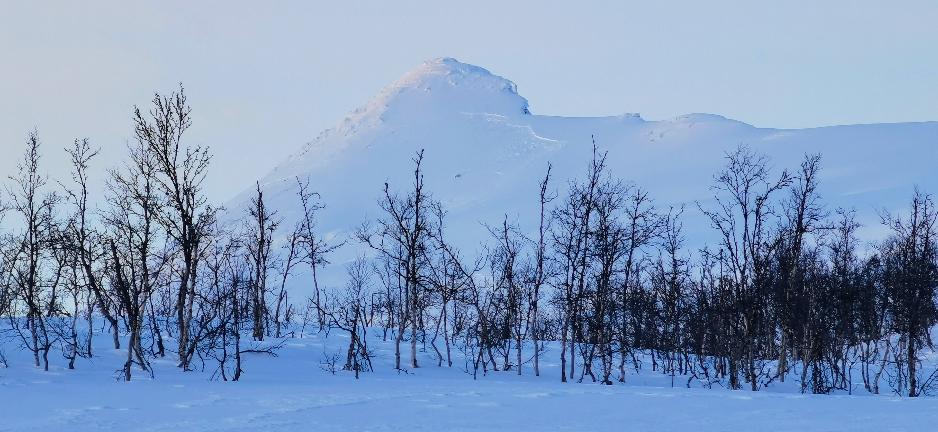 Snøskred i Årsteinhornet Fra 1000moh til fjorden