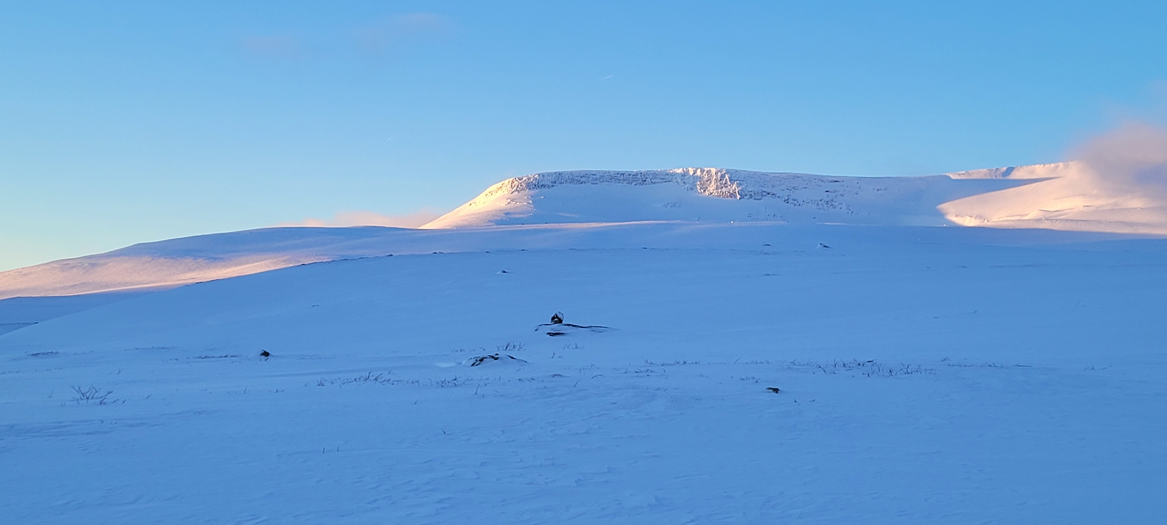 Bolnatind i Saltfjellet