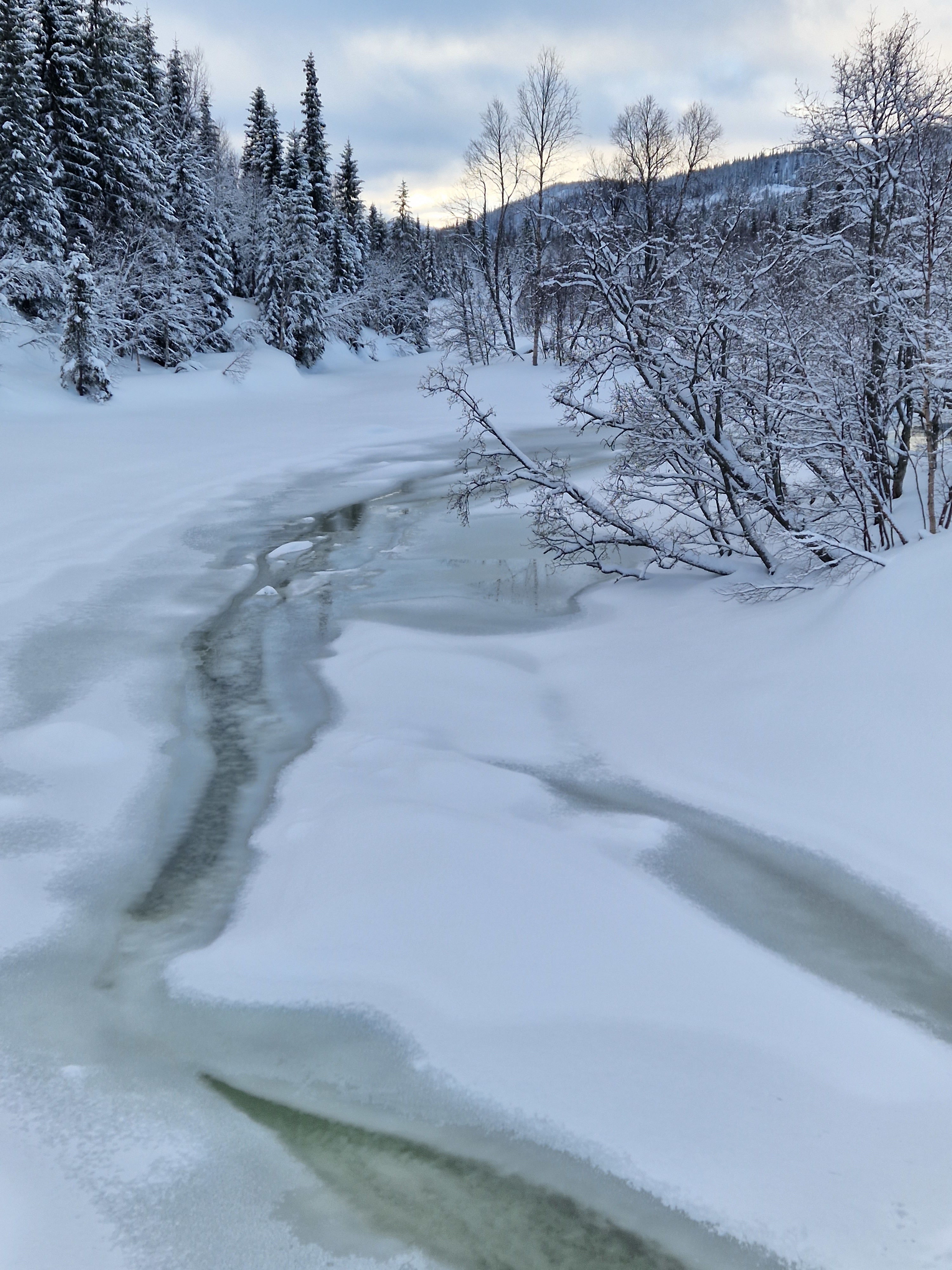 Overvann på Mellomvasselva i Fiplingdalen, Grane