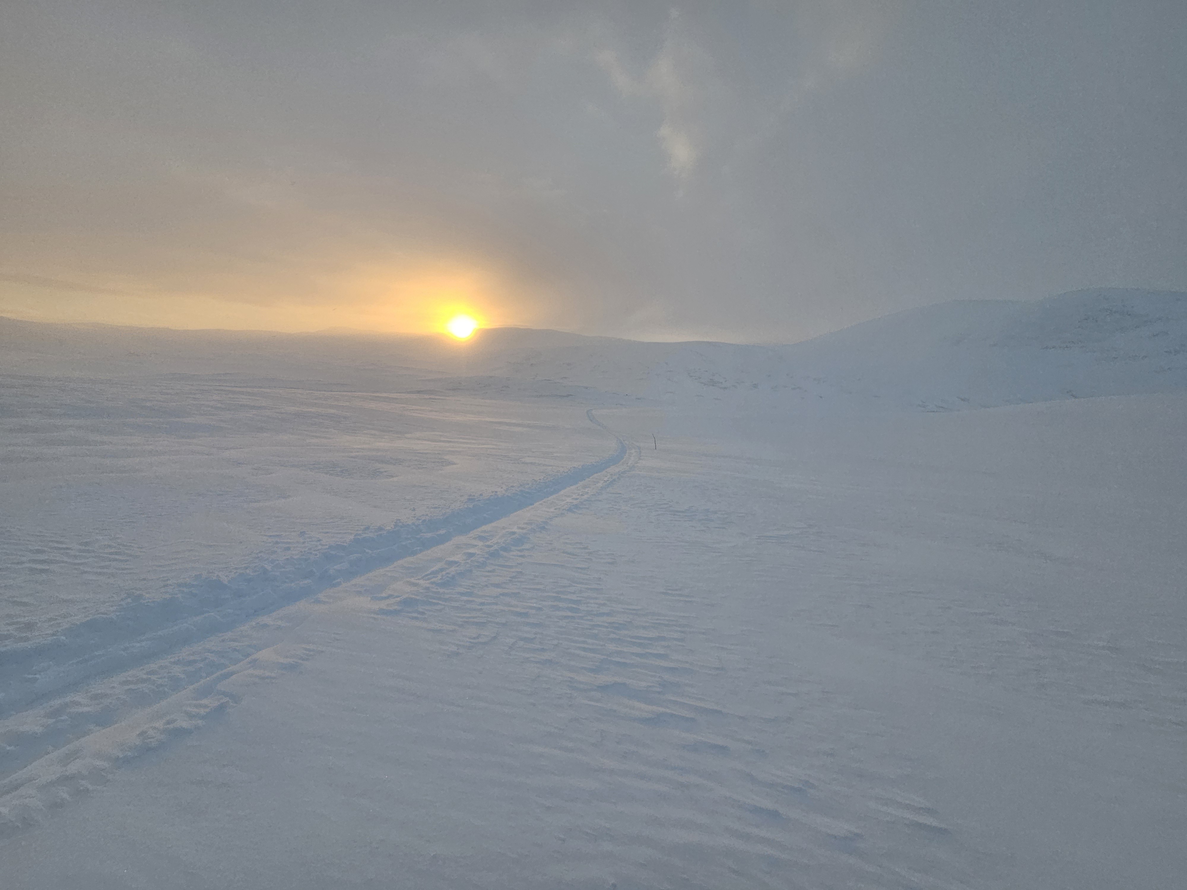 Skispor i vintersol - Reisa vest