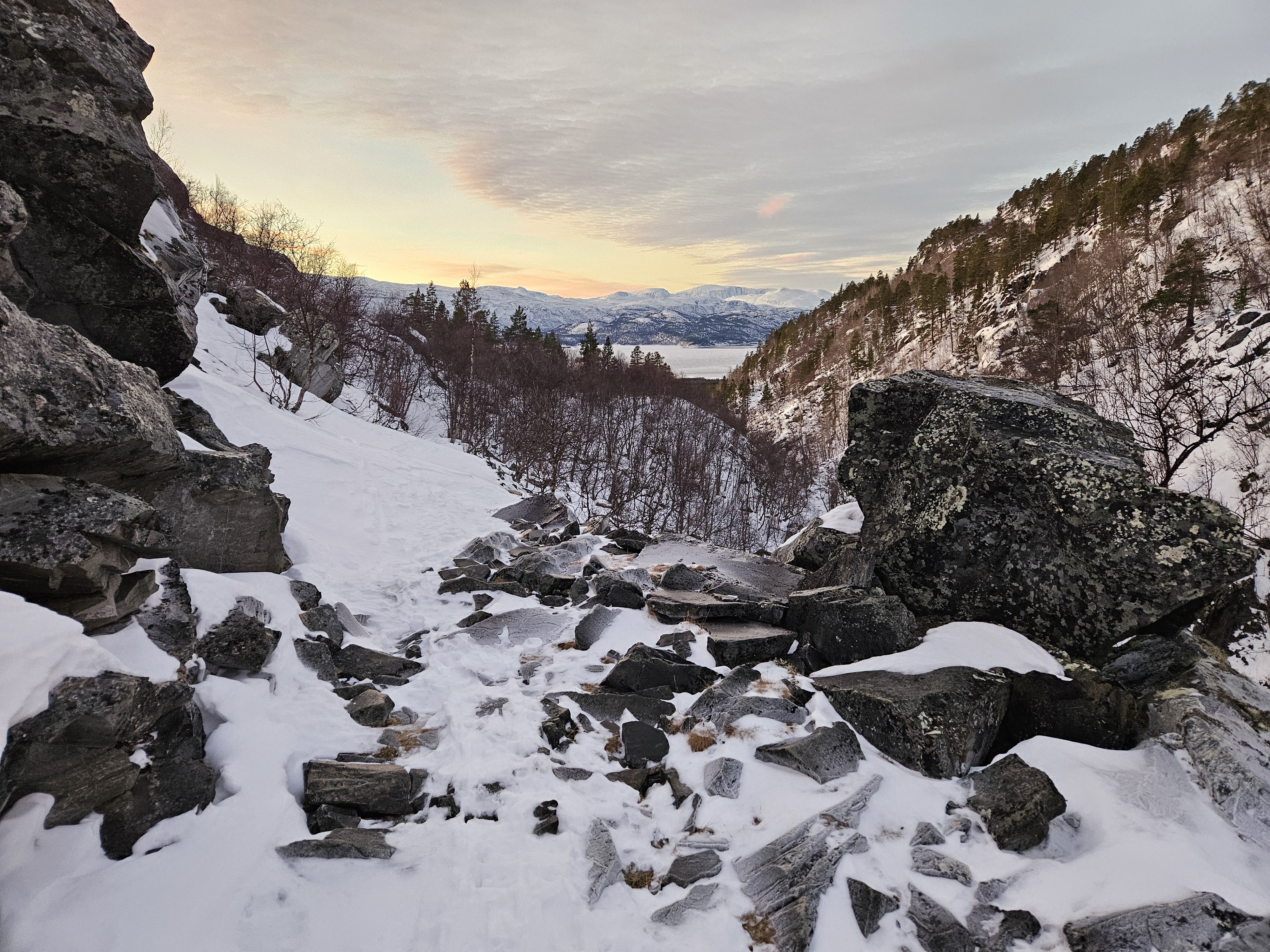 Gærbikkura i Kvænangen