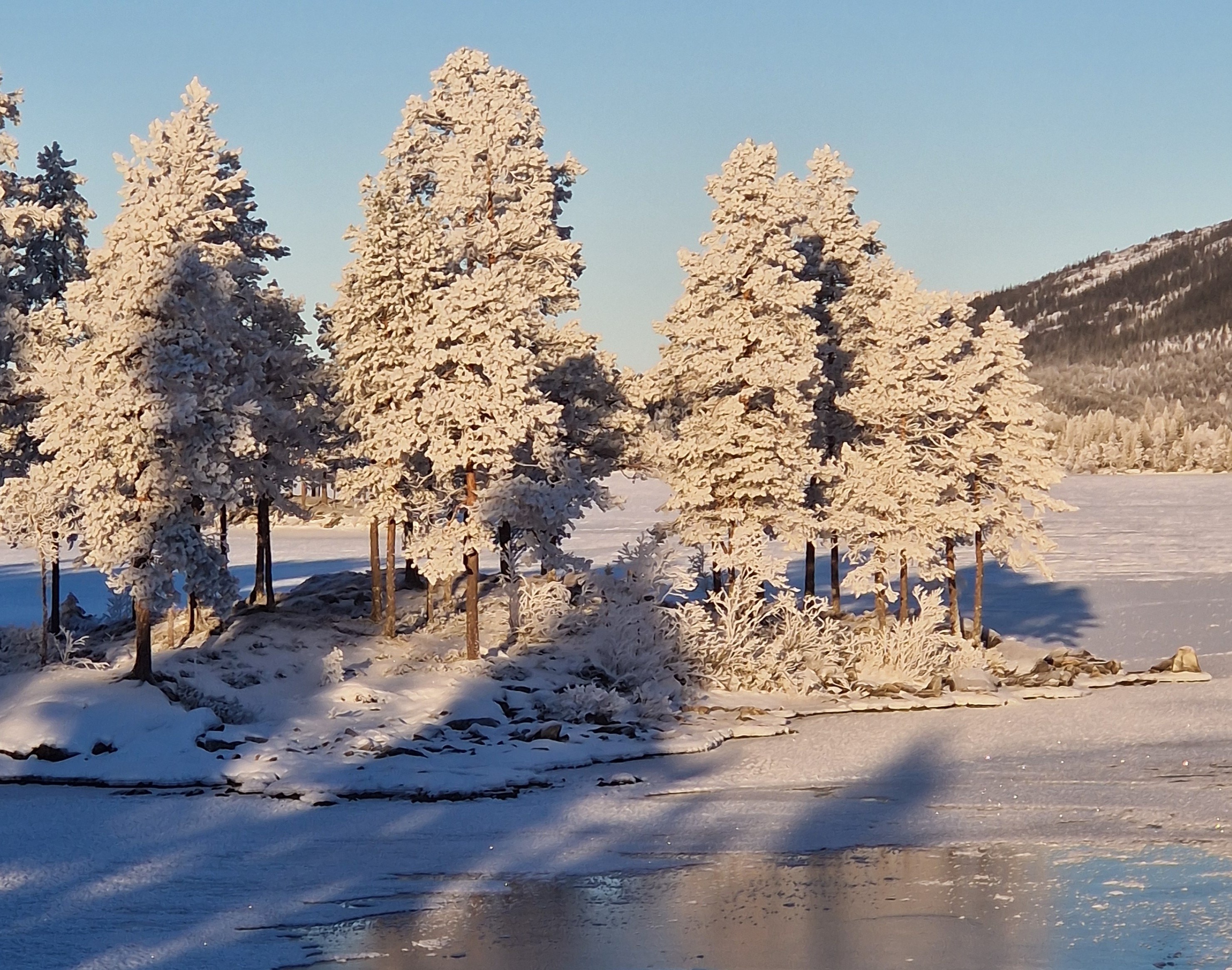 Litj Svenningvatnet Grane