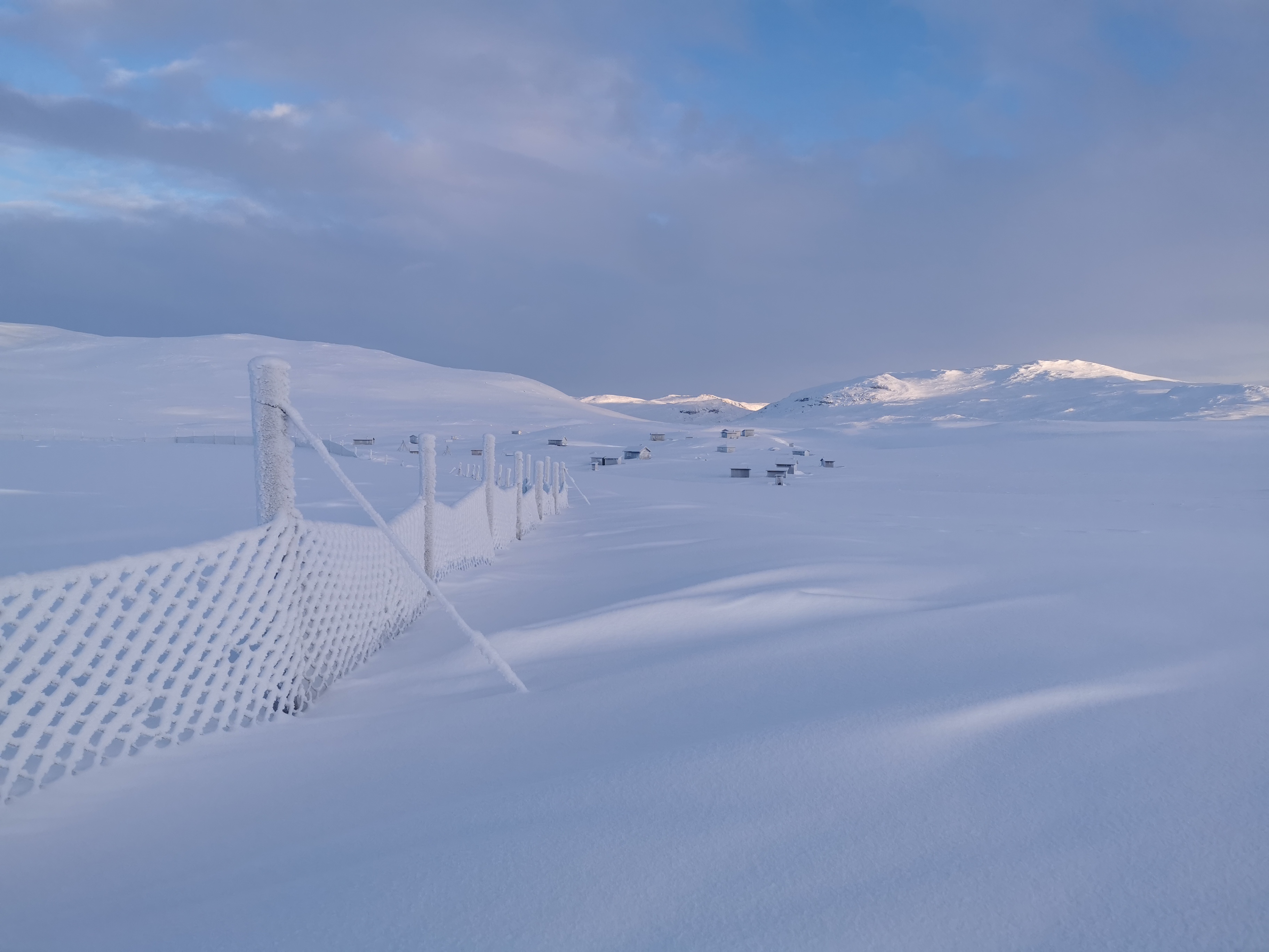 Vinterlig samlingsgjerde på Čievččasjávri