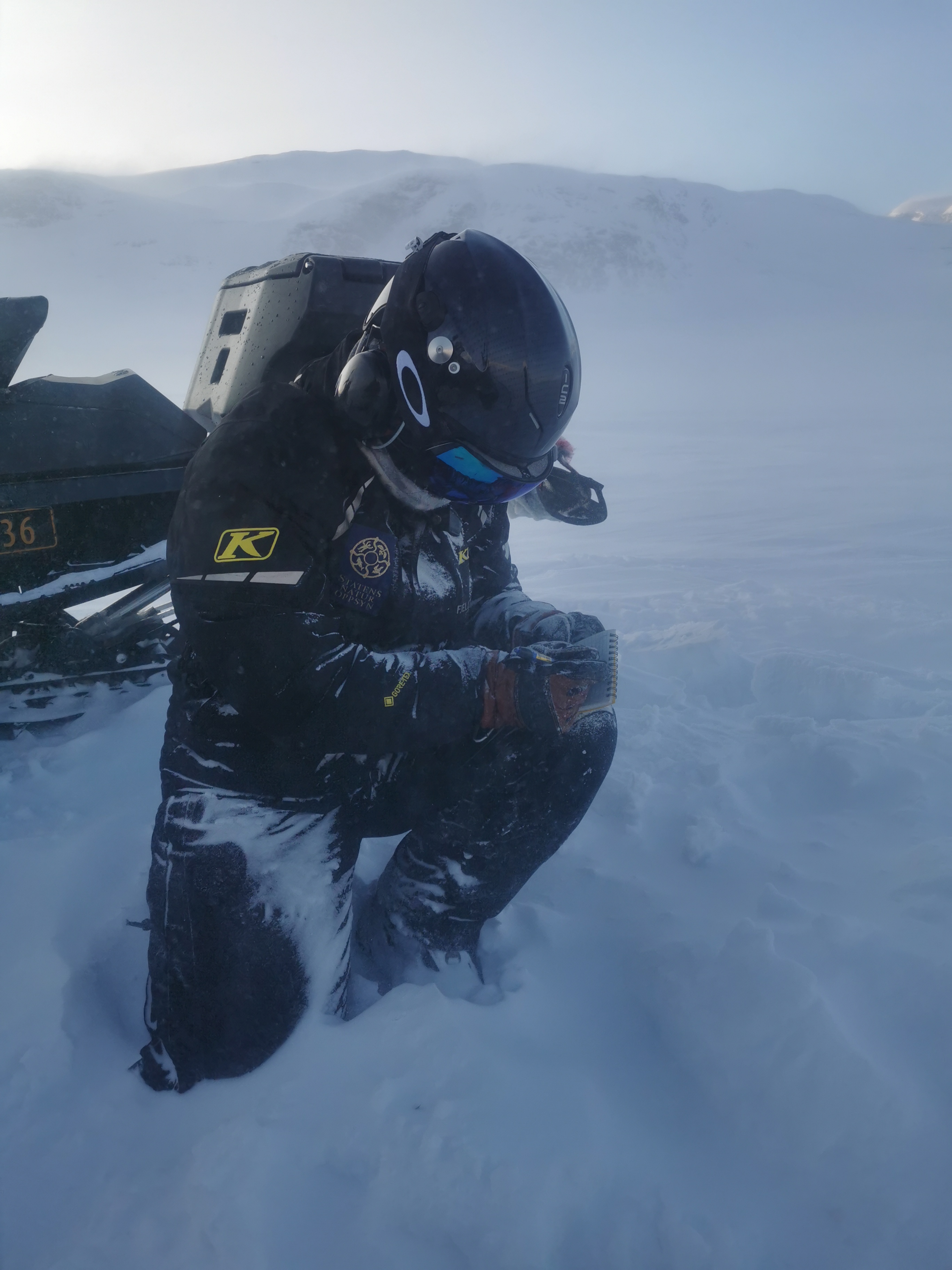 Snøfokk på Indre Lappskardvatnet,  men Nina må skrive målene.