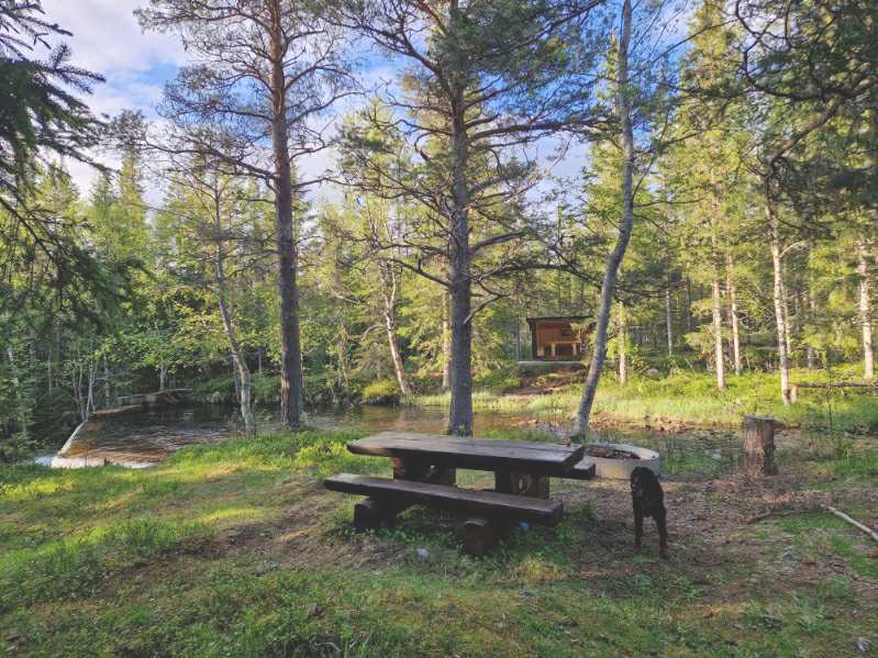 Utsikt mot gapahuken ved elva Skjula i Singsås