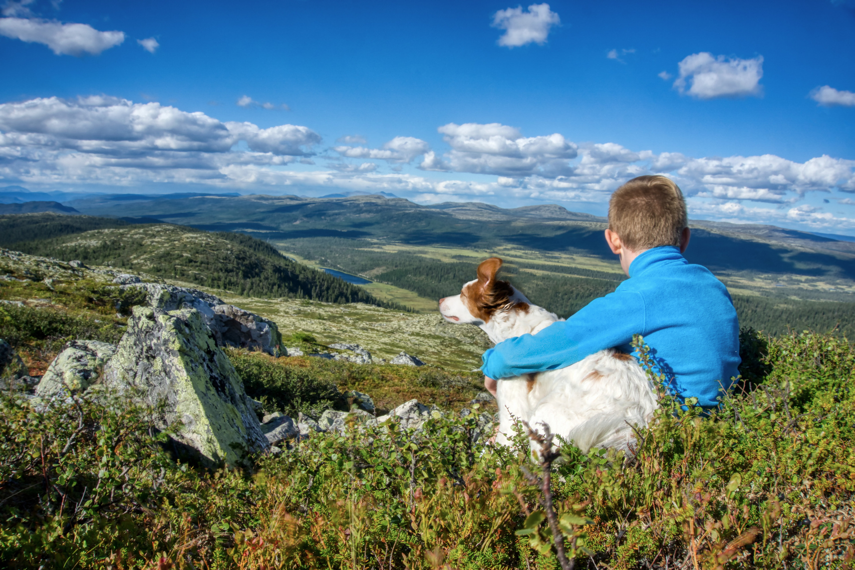 Kornelius på Byringen i Rendalen