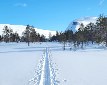 Skispor innover til Sjuendevatnet på Hamarøy