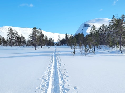 Skispor innover til Sjuendevatnet på Hamarøy