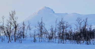 Snøskred i Årsteinhornet Fra 1000moh til fjorden