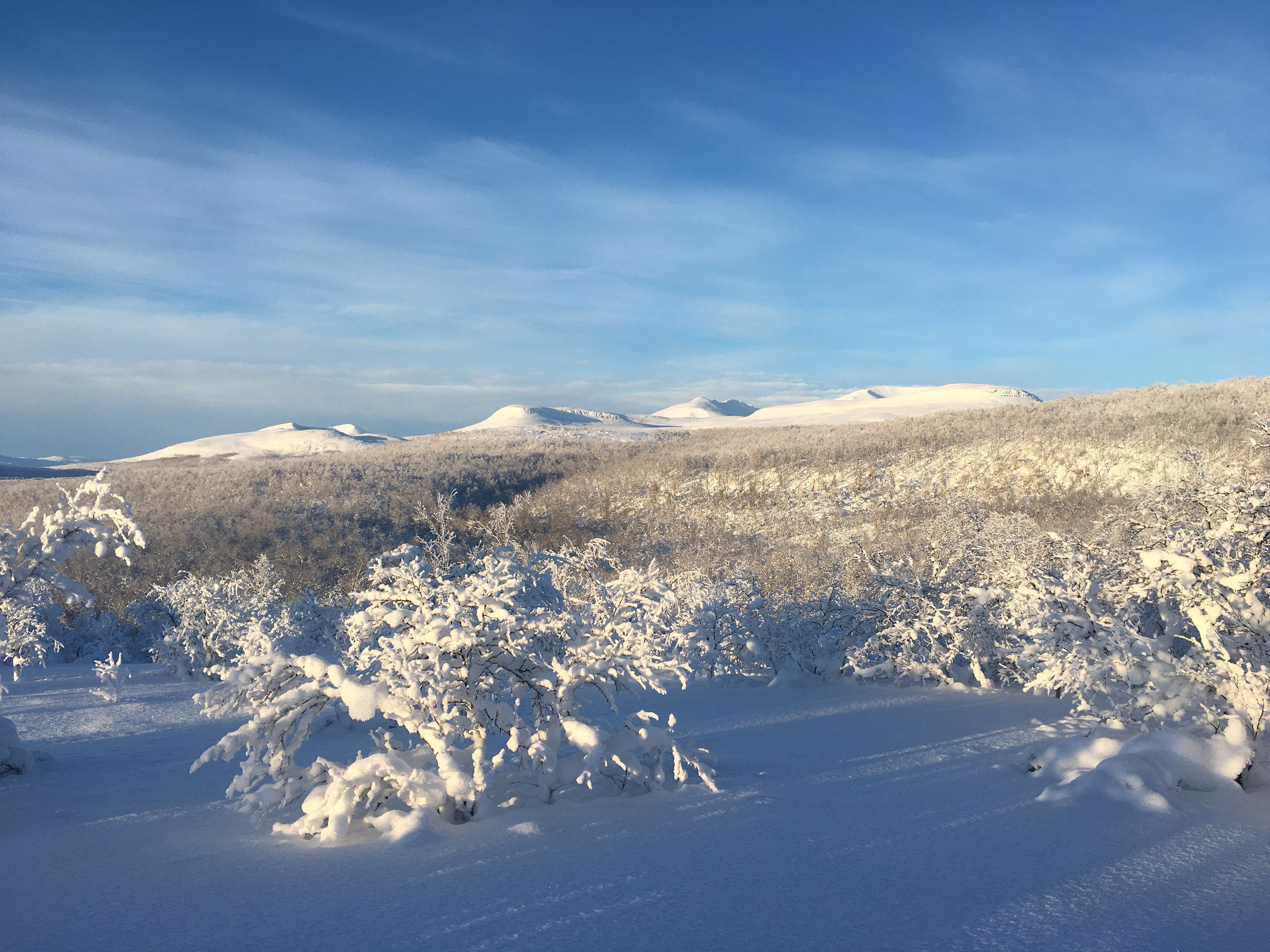 Is - Og Snøforhold I Fjellet I Nordland Og Troms 15.… | Statskog