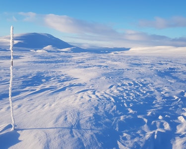 Raisduottarhaldi Landskapsvernområde i Troms