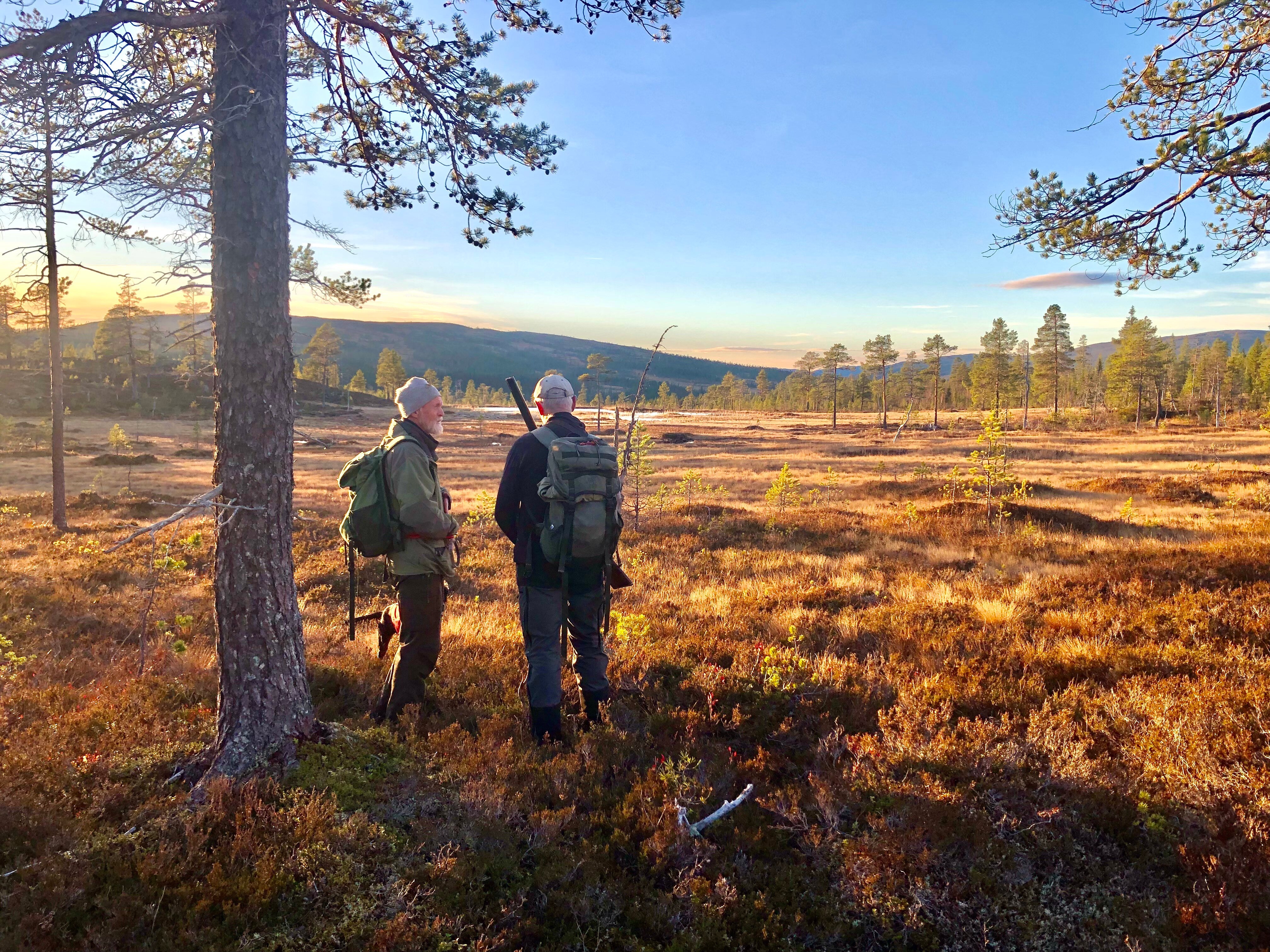 Fra Geir og Calles jaktur i Lurudalen