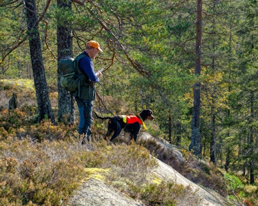 Finnemarka - jeger og hund