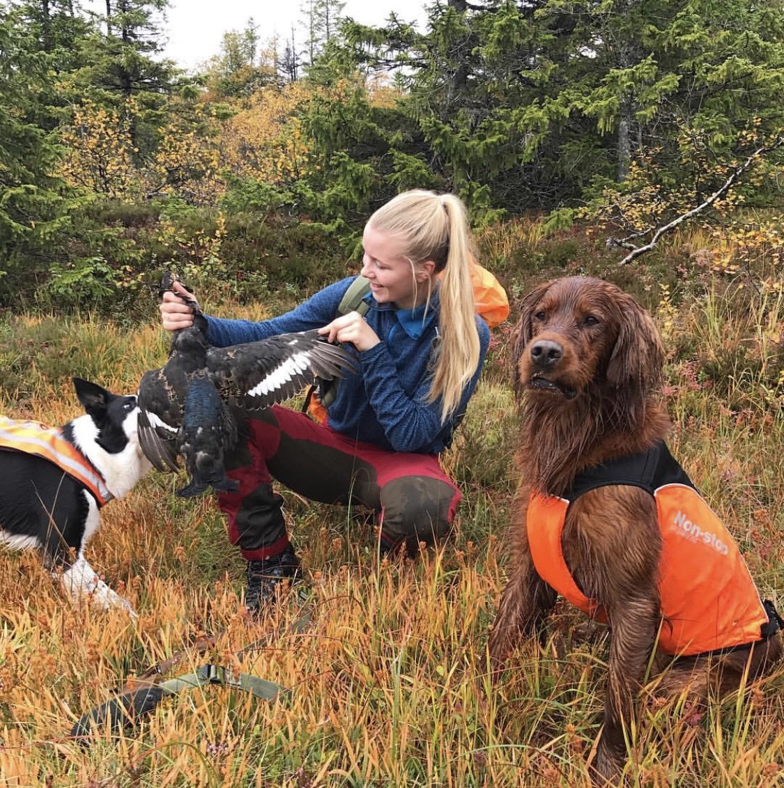 Jeger, fangst og jakthunder i Gilten