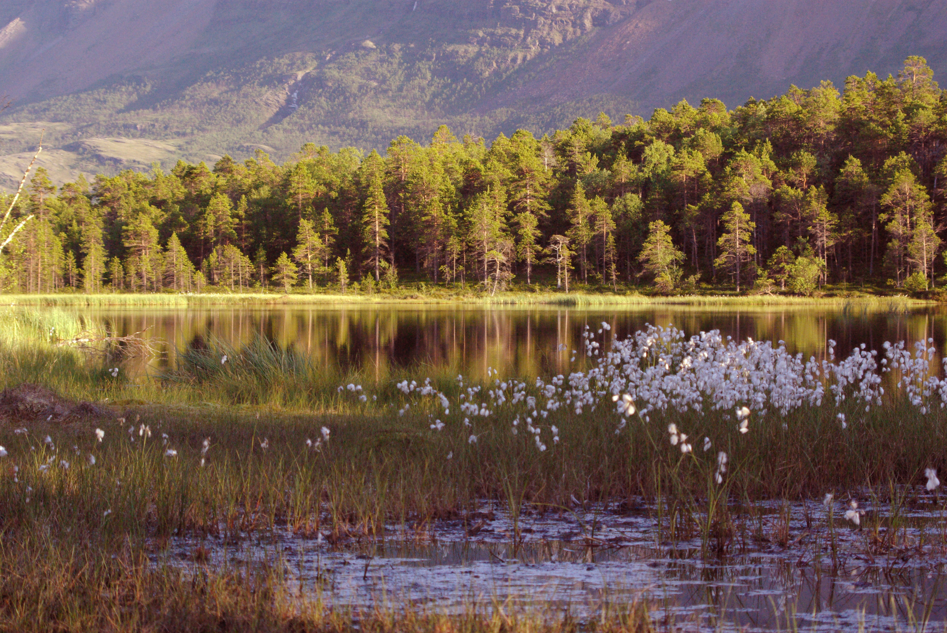 Skibotndalen i Troms