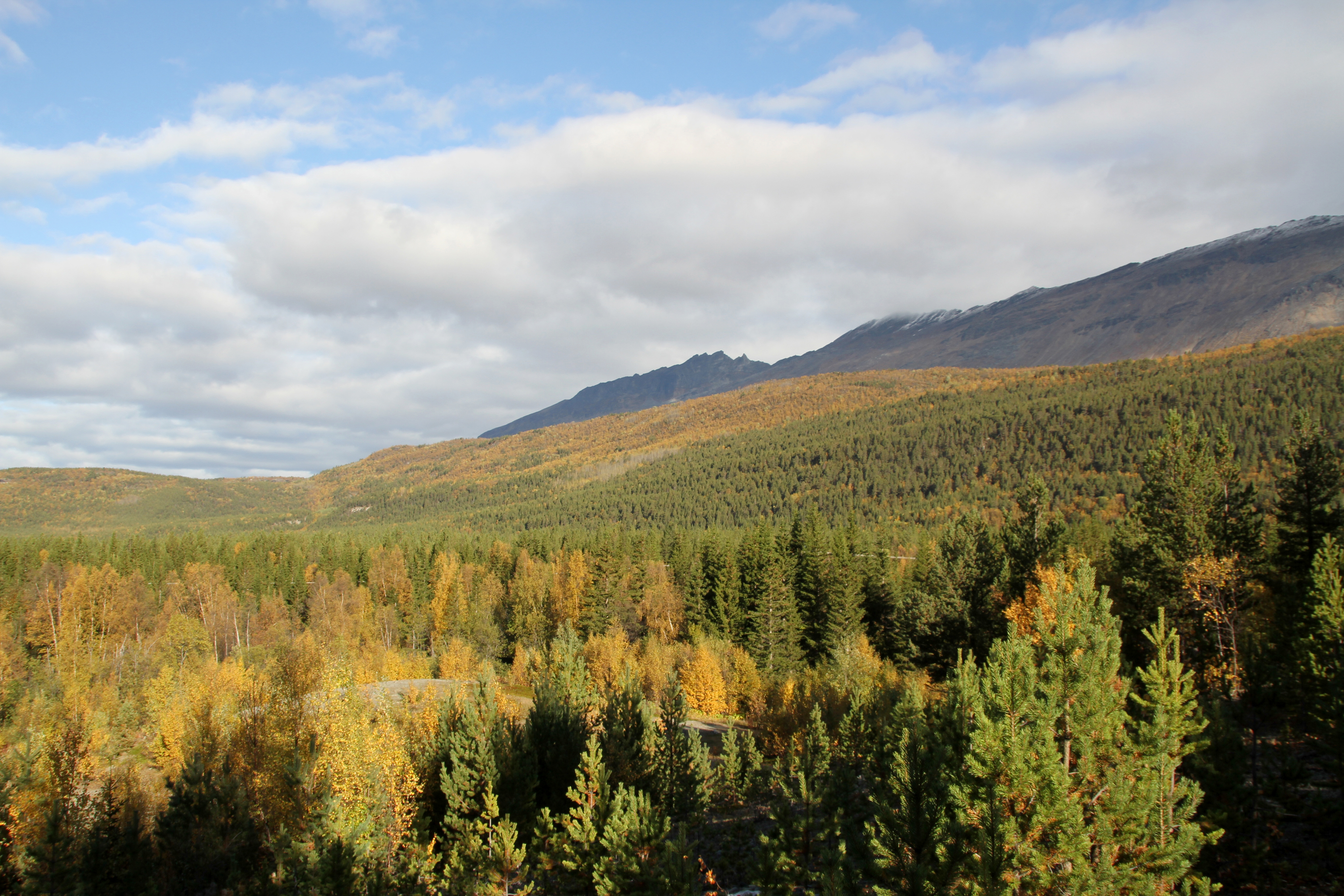 Skibotndalen i Troms