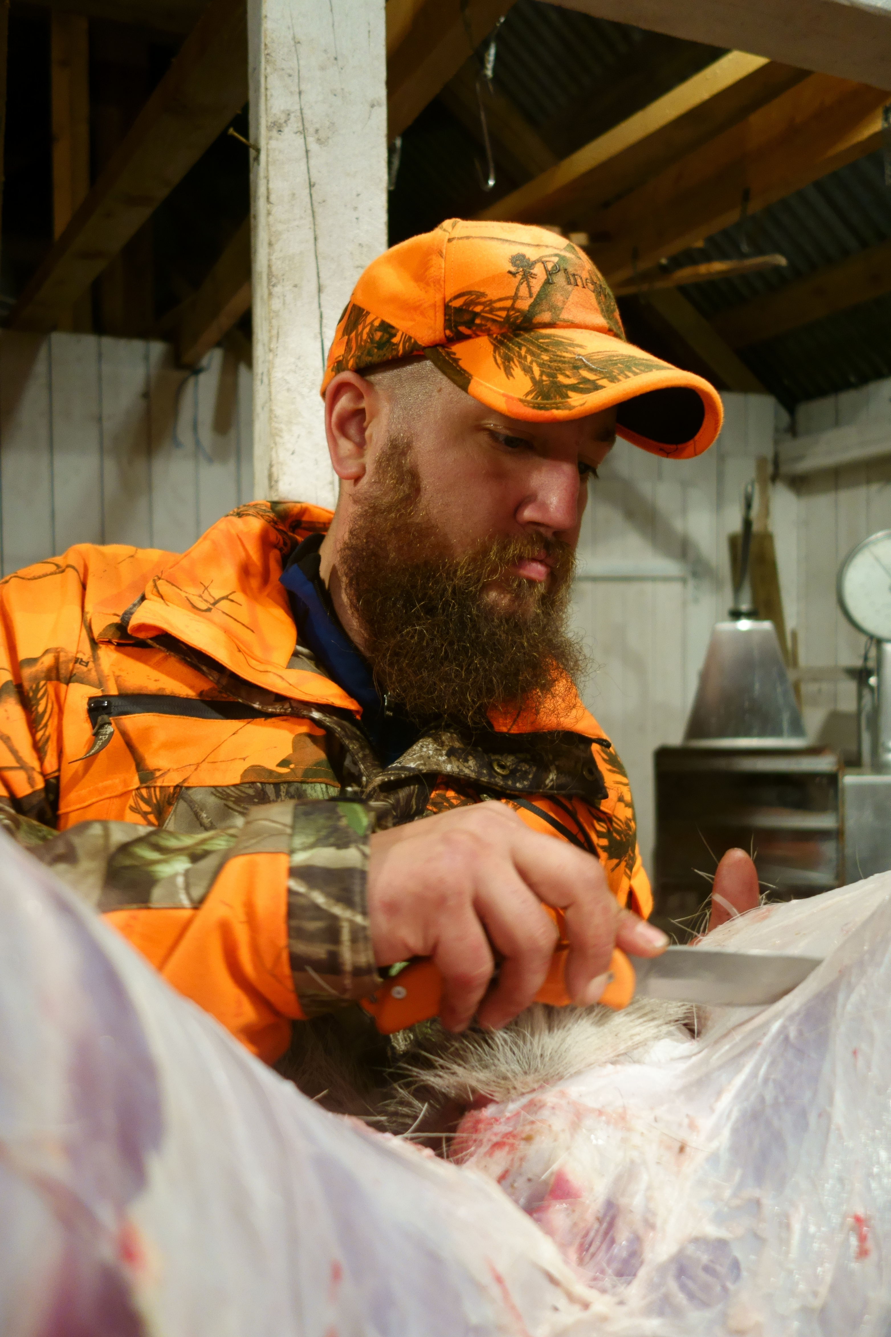 Opplæringsjakt på elg008