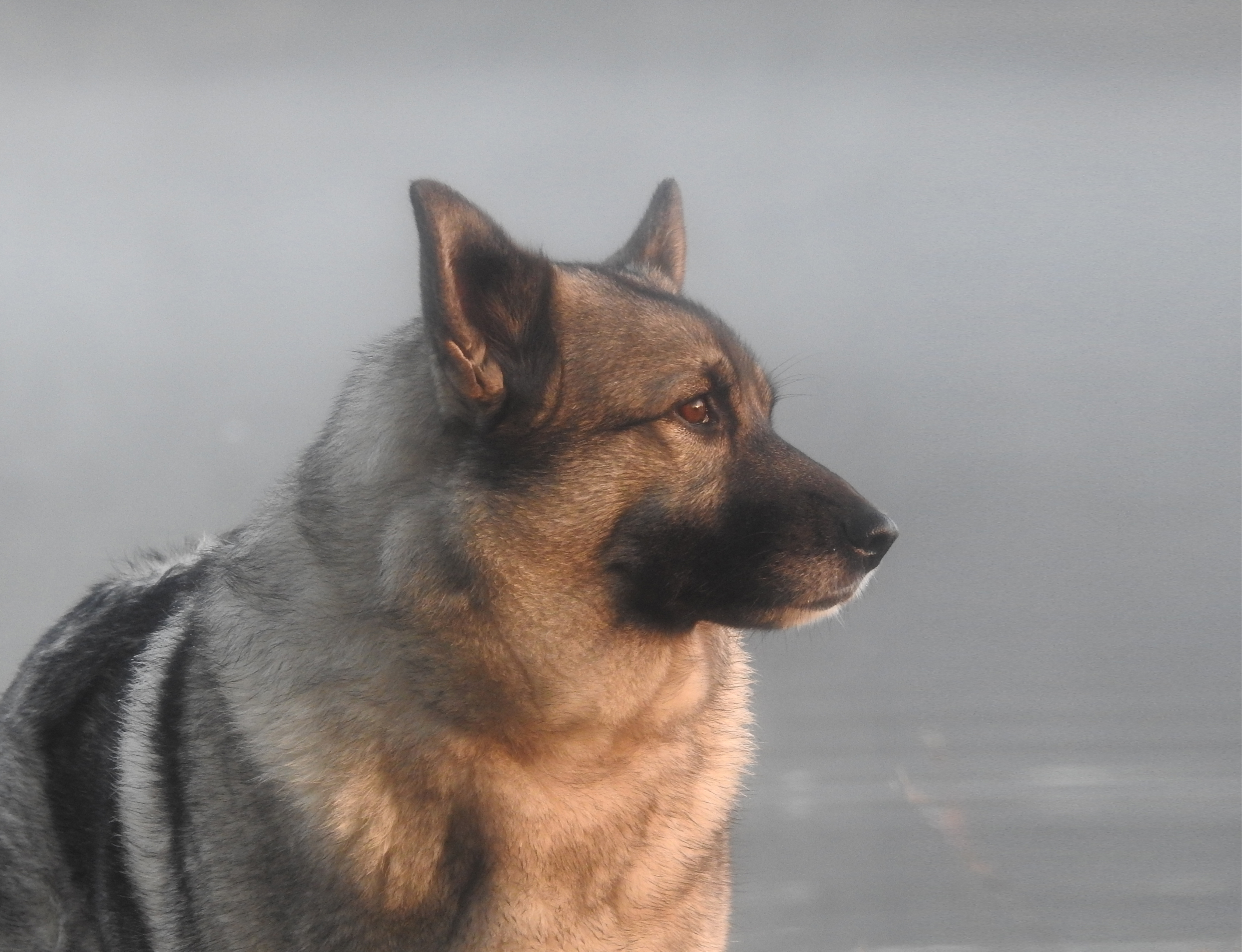 Shutterstock 729859054