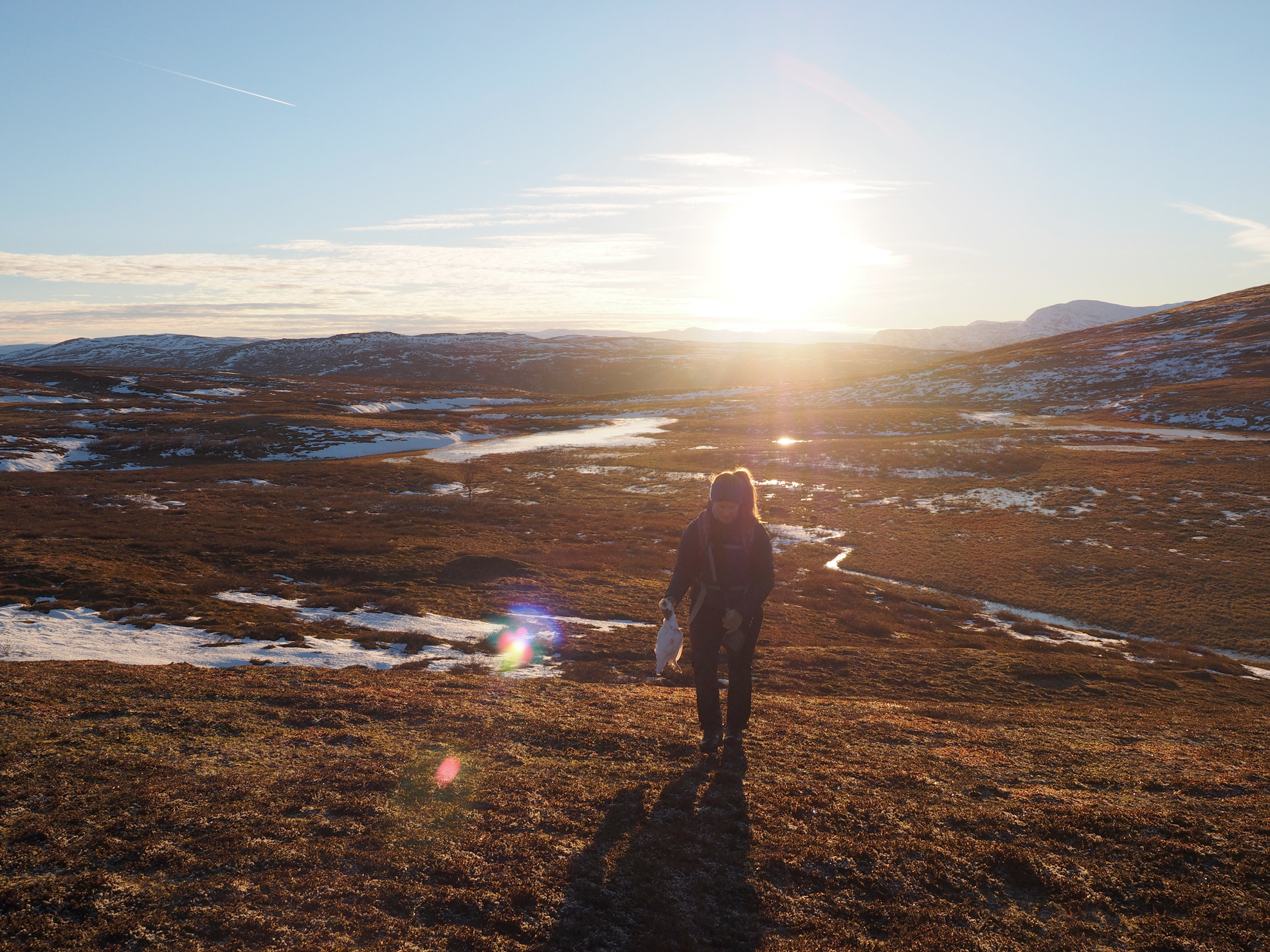 Rypejakt i Virvassdalen