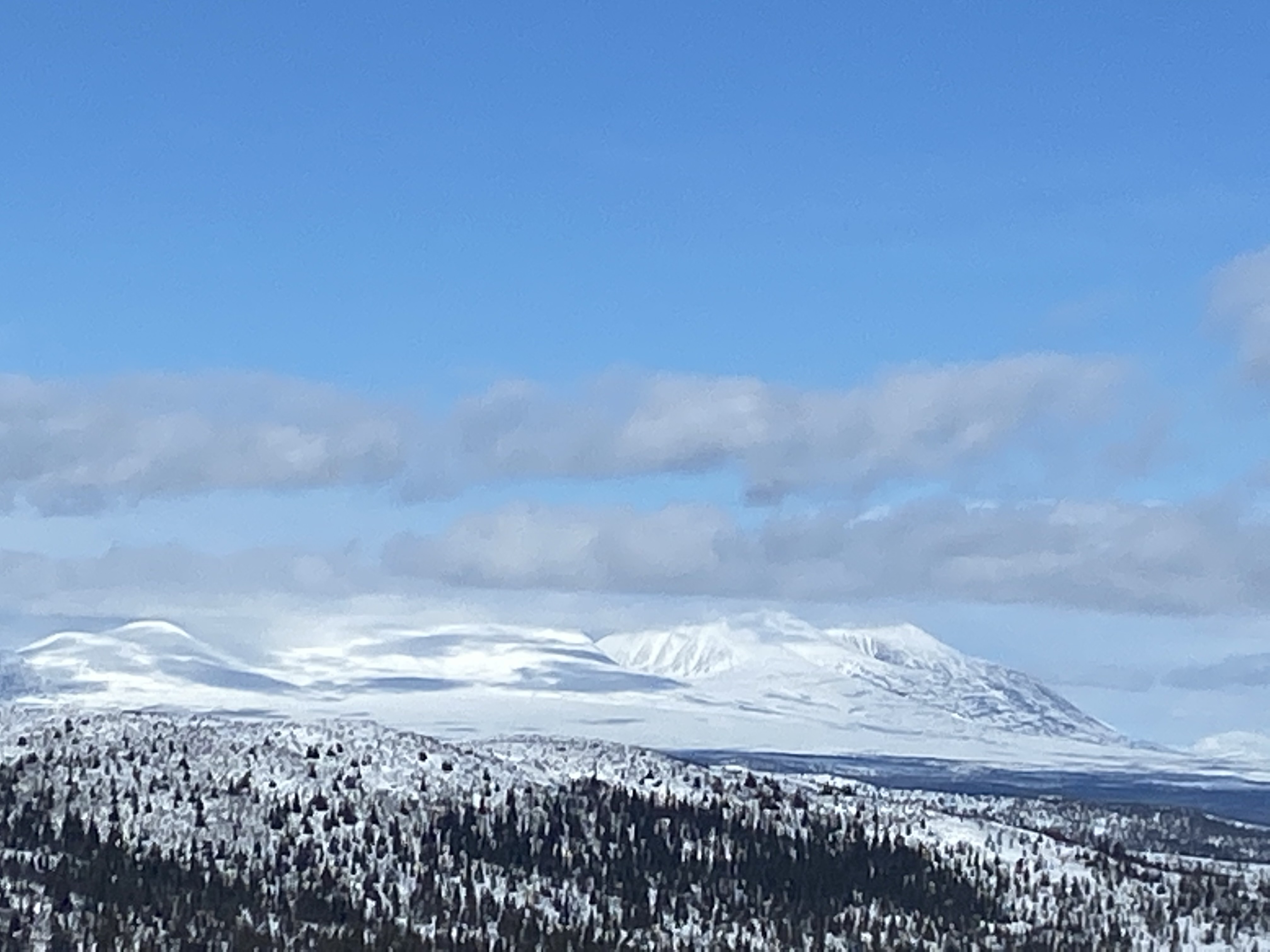 Flotte omgivelser - Sølen i Rendalen