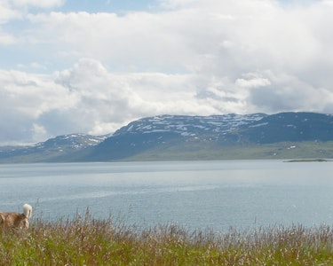 Narvik - søndre delen av Storiten