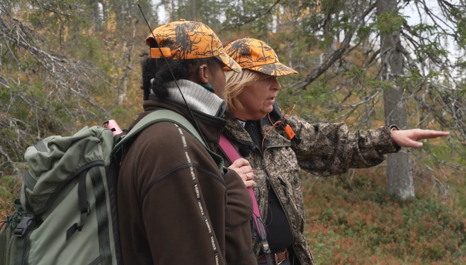 På opplæringsjakt i Bangdalen