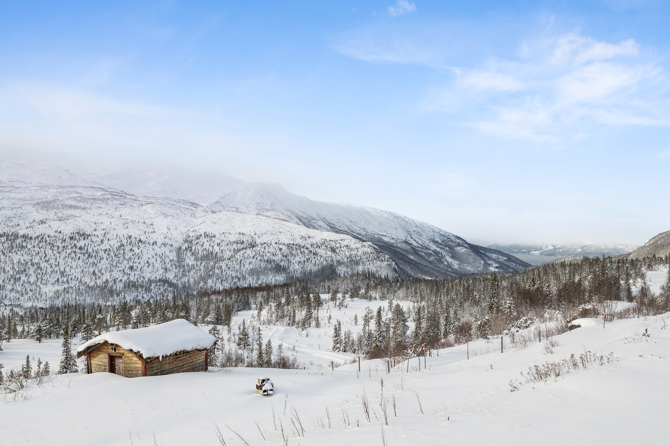 Millioner Til Gode Prosjekter I Nordland Og Troms | Statskog