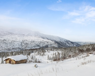 Hulbækmoen i Rana - Nordland - nyinnkjøpt eiendom