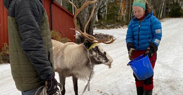 Støtte til kultur og næringsutvikling i Snåsa