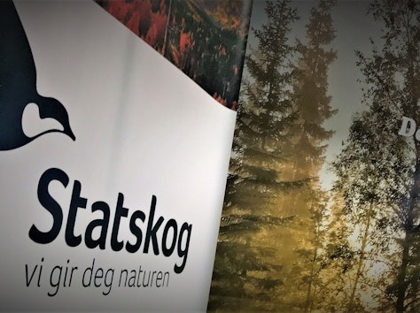 Statskog Skilt Illustrasjon